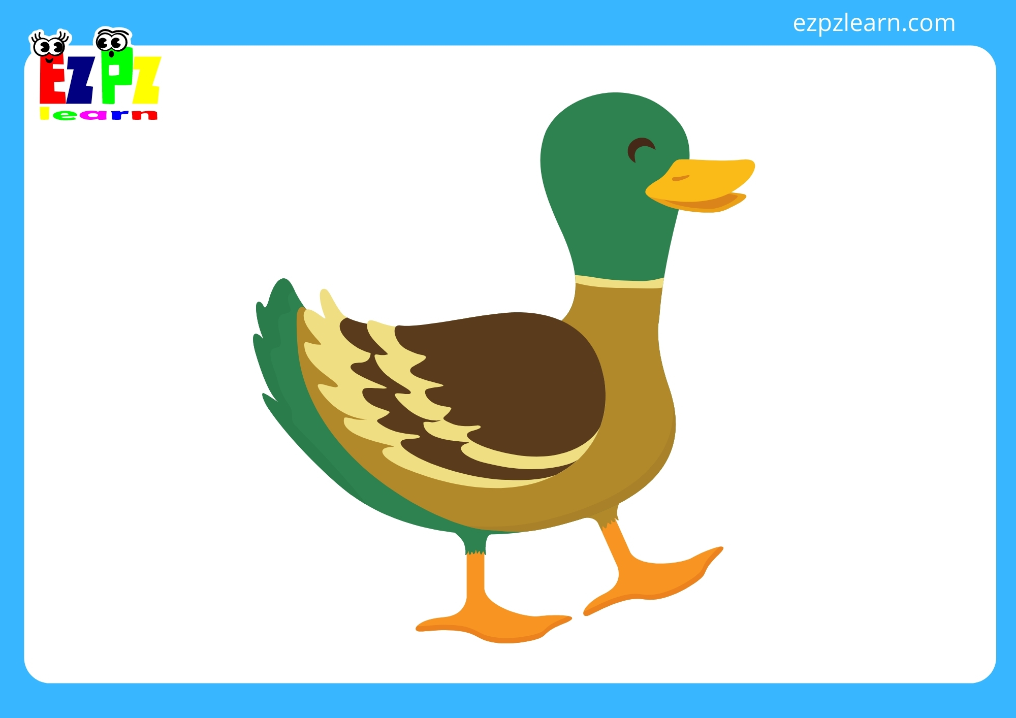 duck